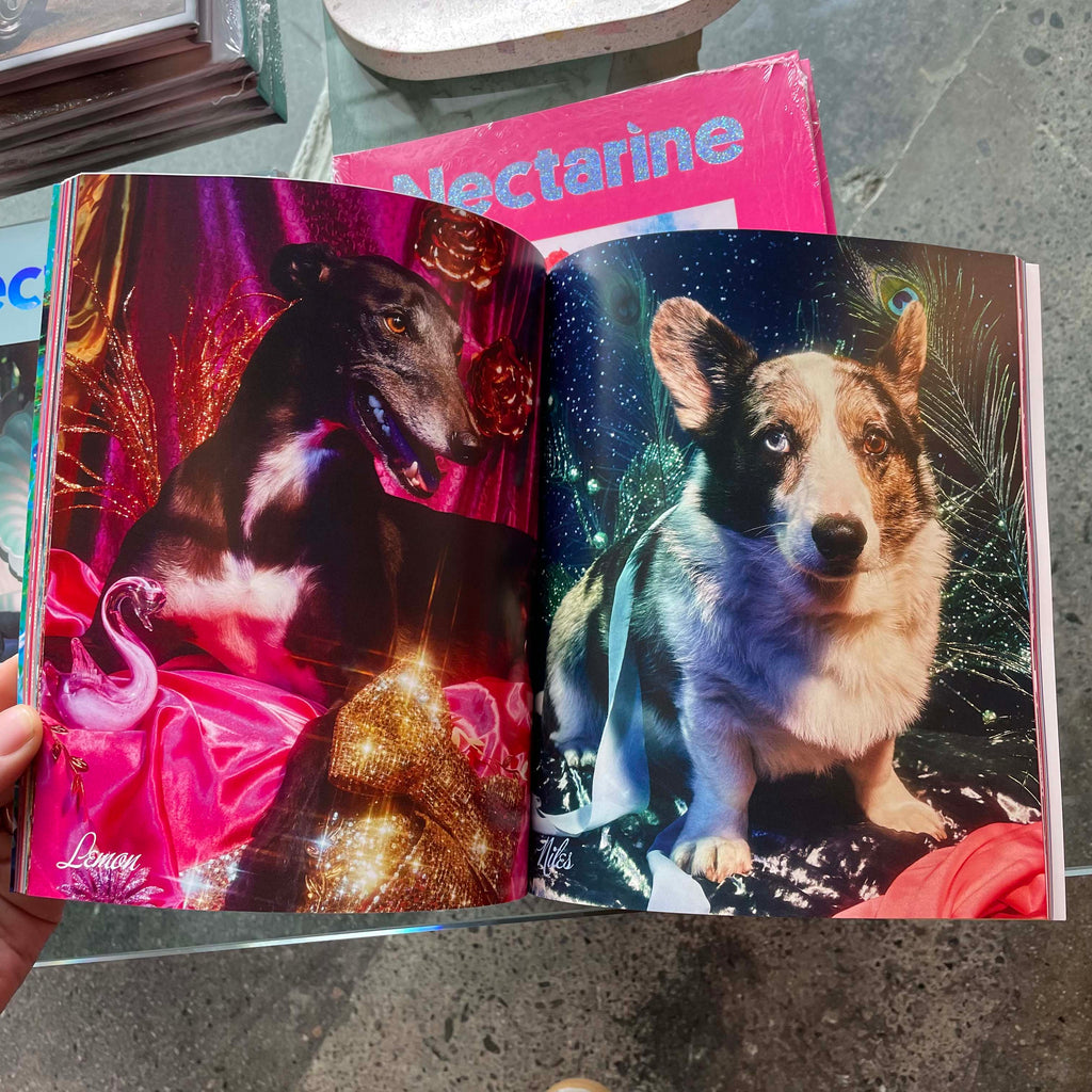 The Camp Issue - Nectarine Magazine