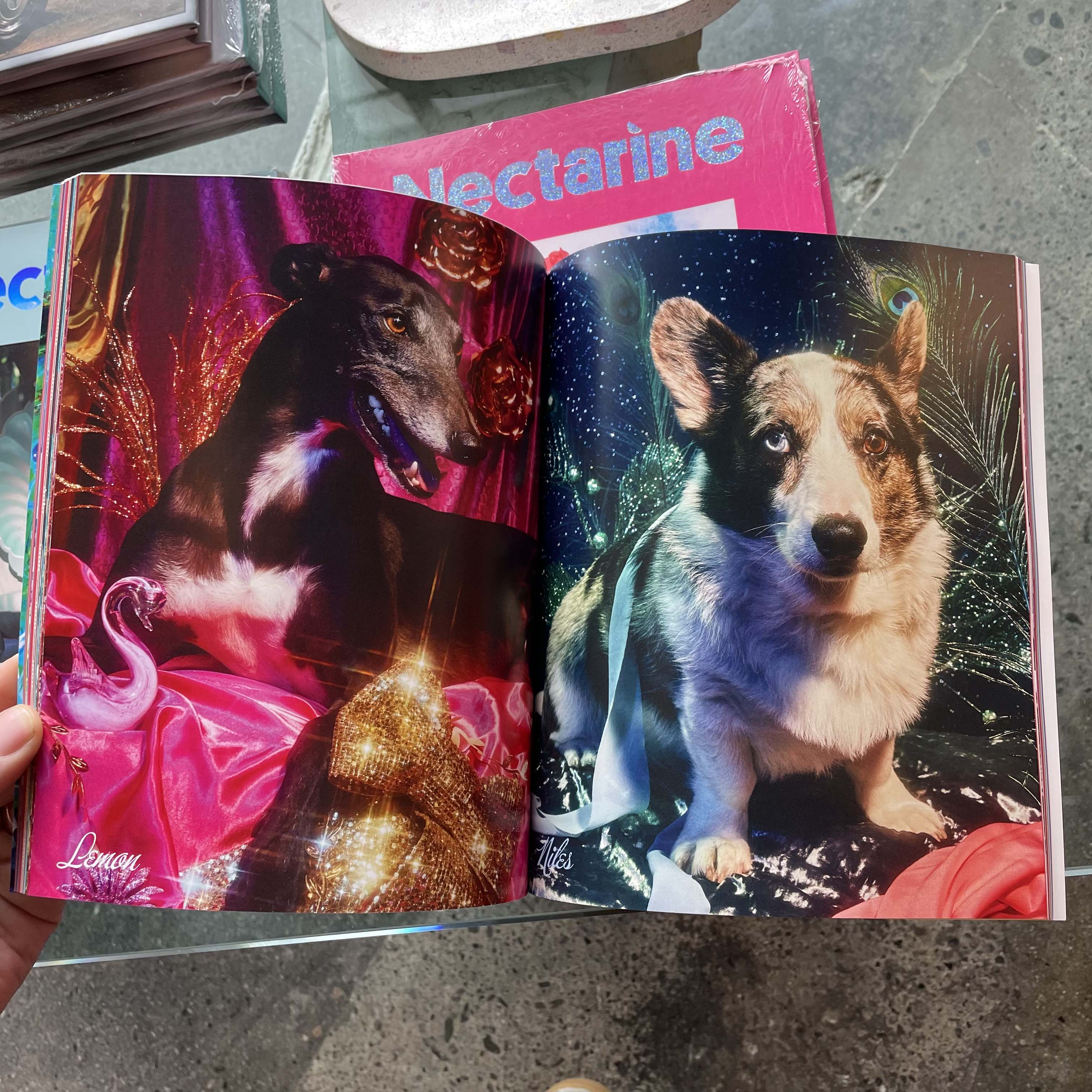 The Camp Issue - Nectarine Magazine