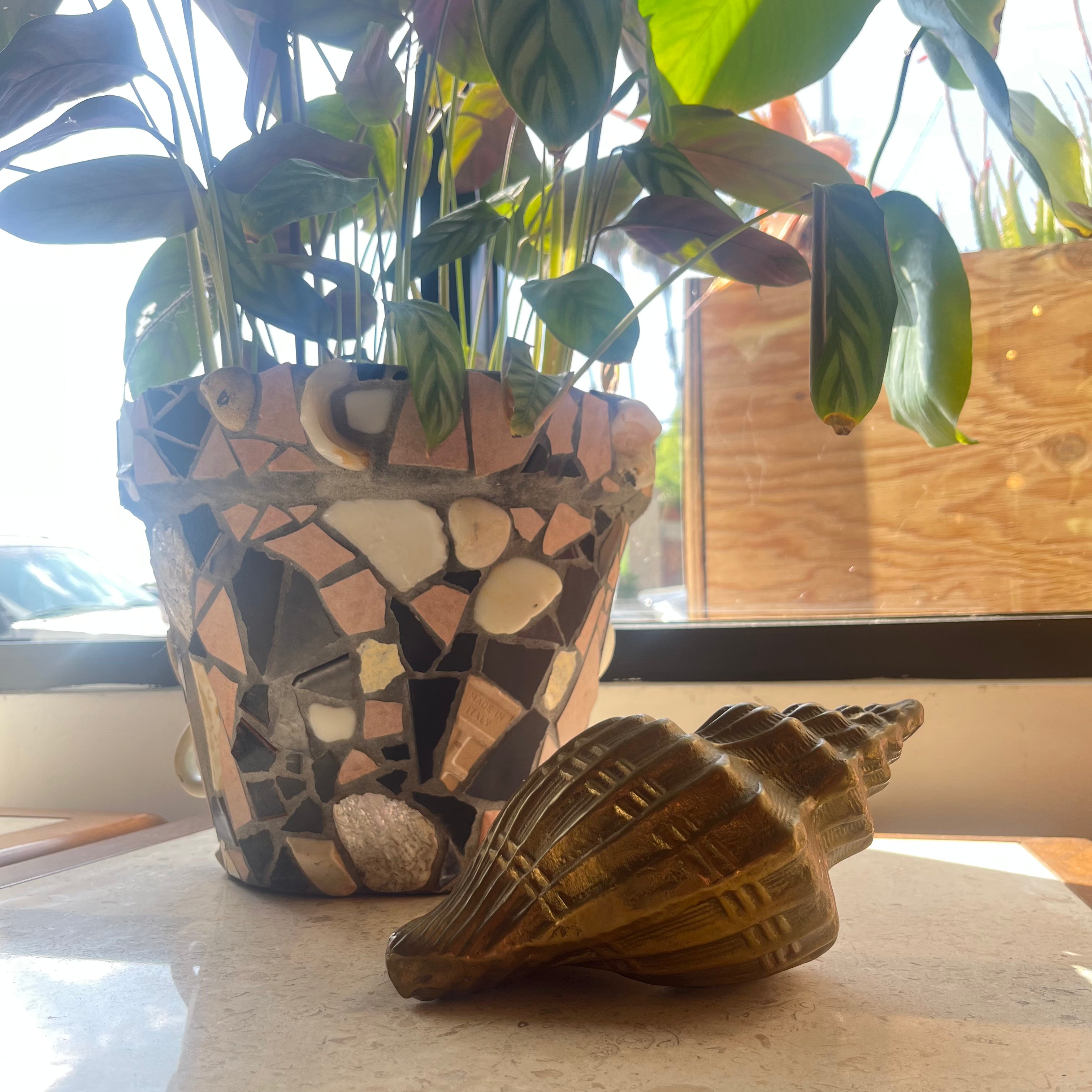 Vintage Brass Conch Seashell