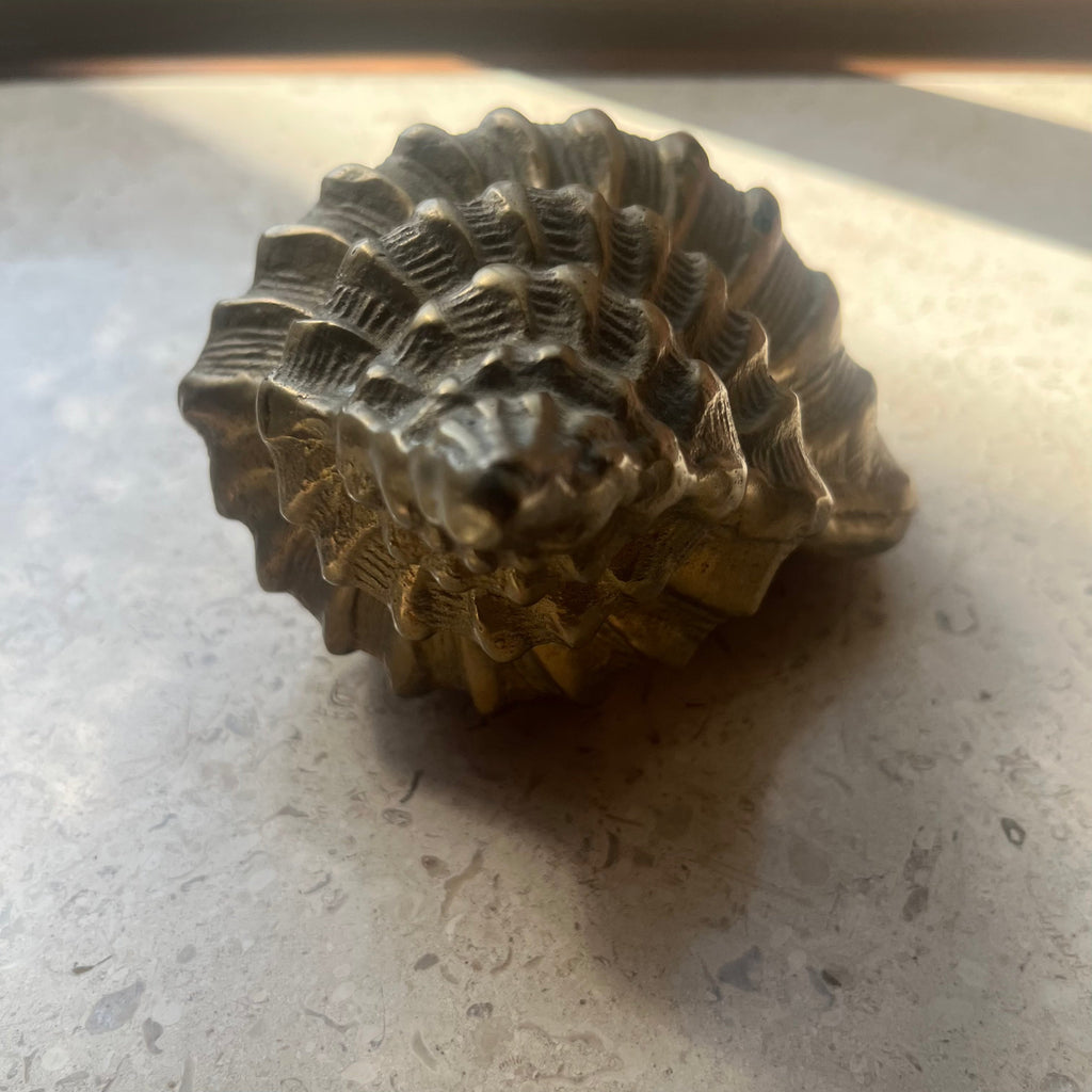 Vintage Brass Conch Seashell