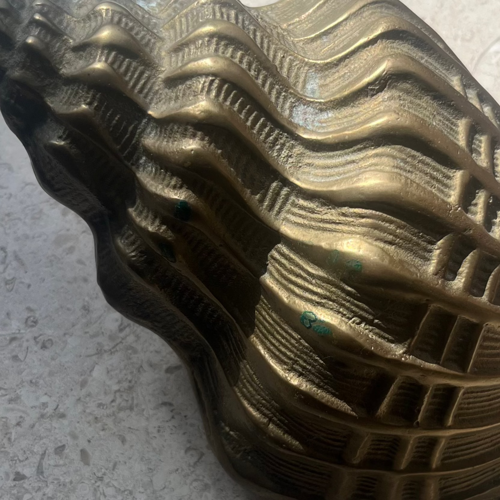 Vintage Brass Conch Seashell