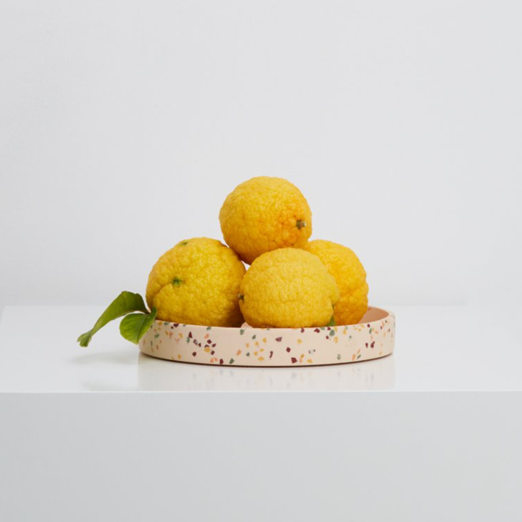 Terrazzo Trays by Capra Designs
