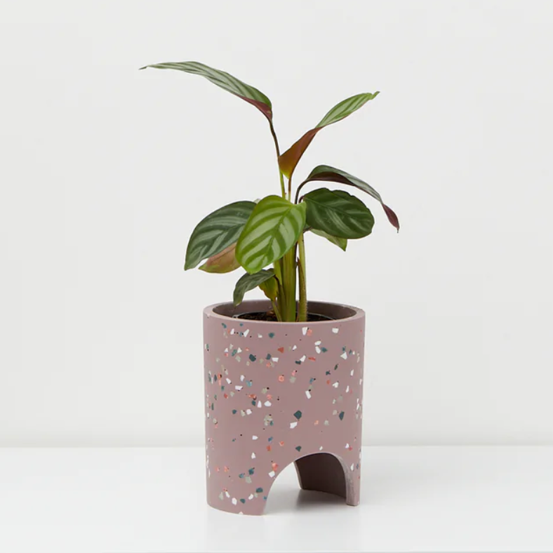 Small Archie Planter By Capra Design