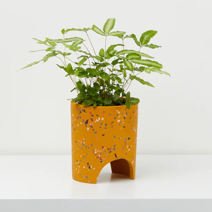 Small Archie Planter By Capra Design
