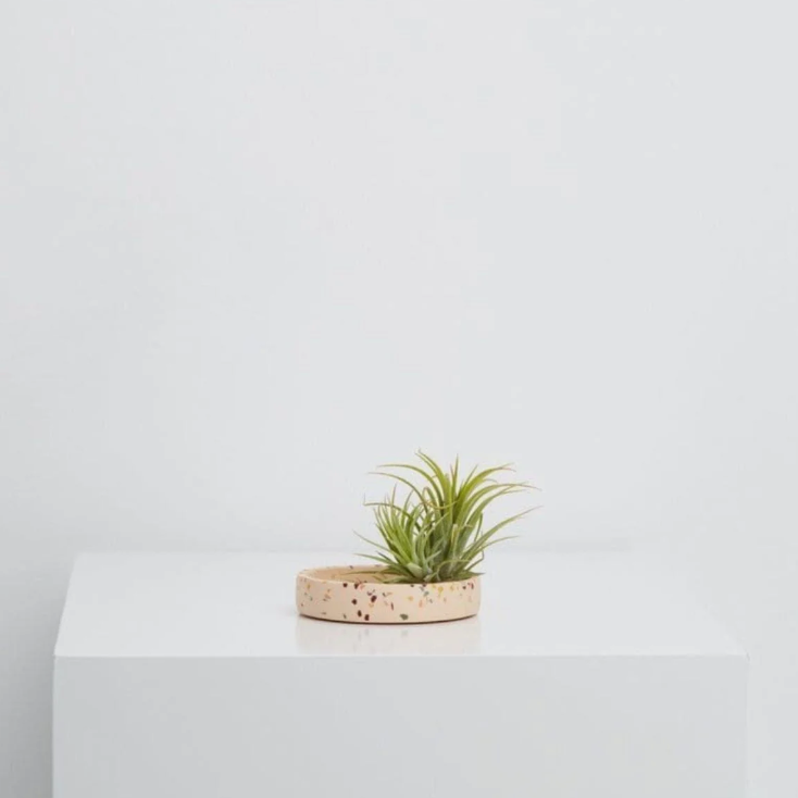 Terrazzo Trays by Capra Designs