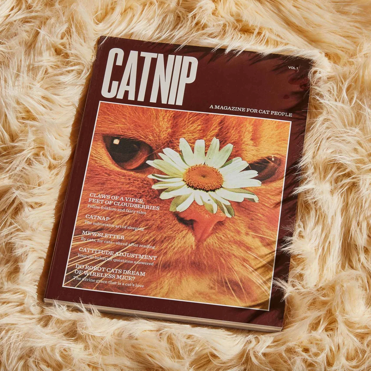Catnip Magazine
