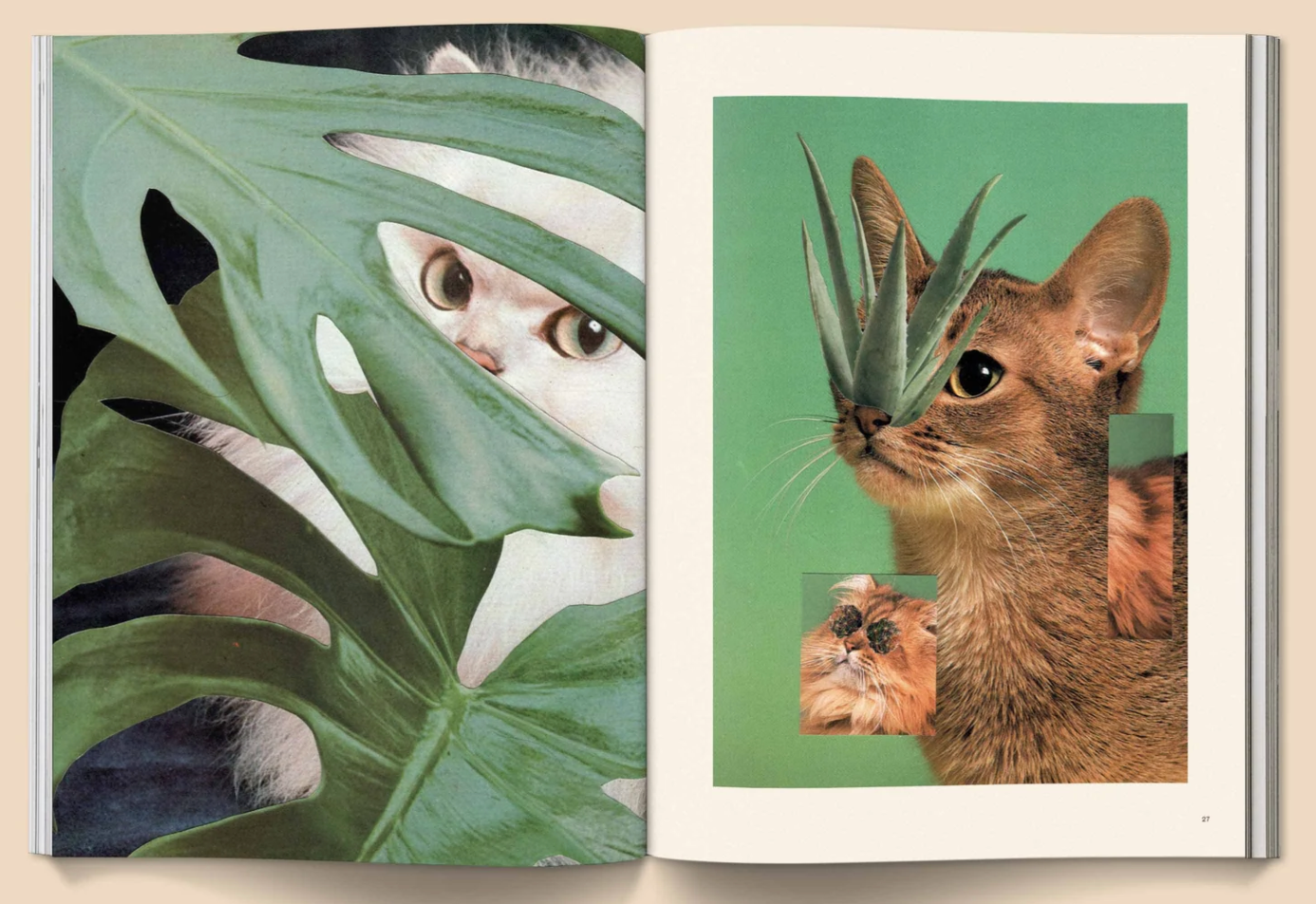 Catnip Magazine