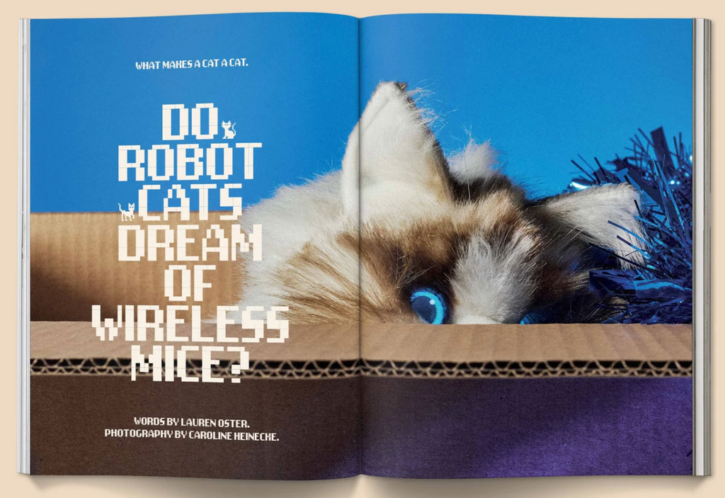 Catnip Magazine