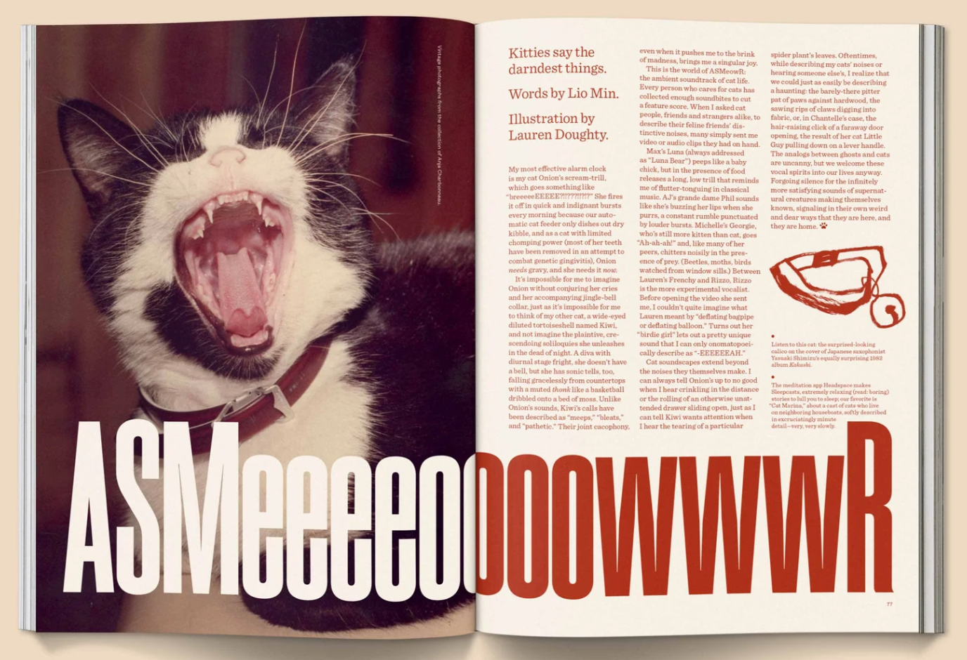 Catnip Magazine