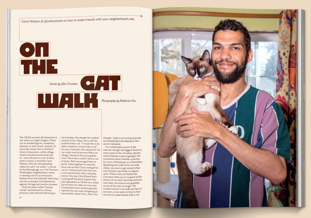 Catnip Magazine