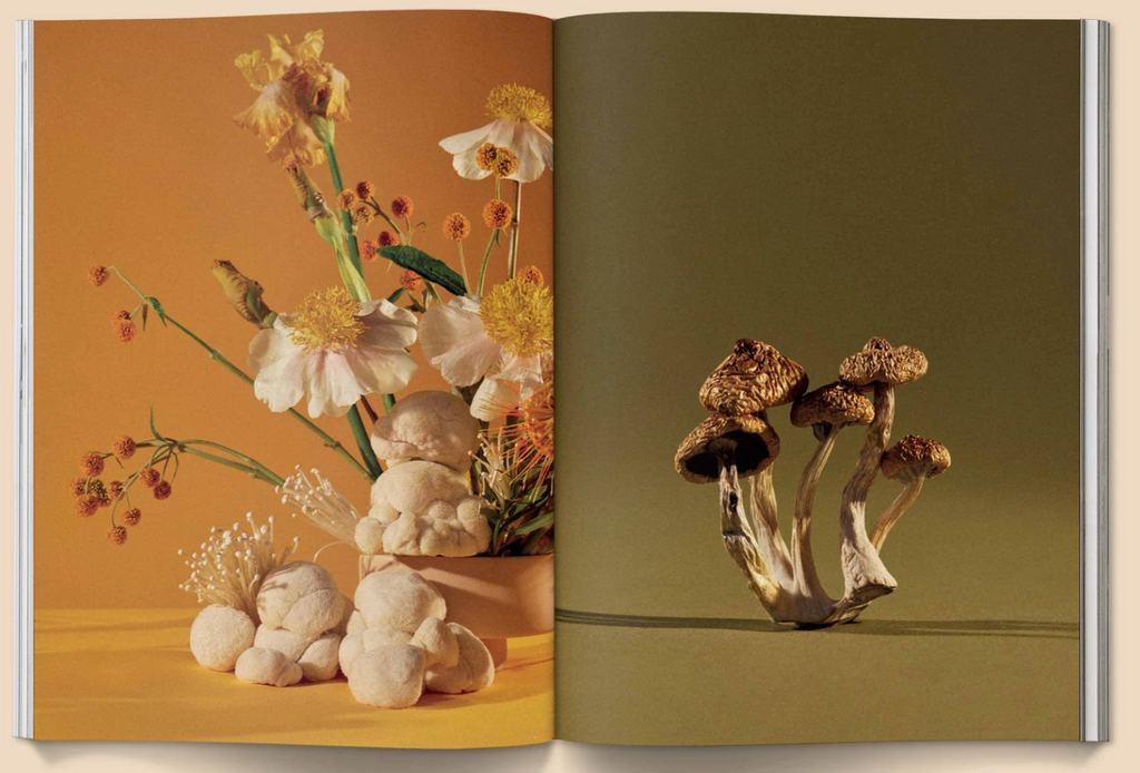 Mushroom People Magazine