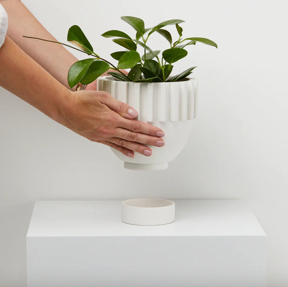Solstice Planter by Capra Designs