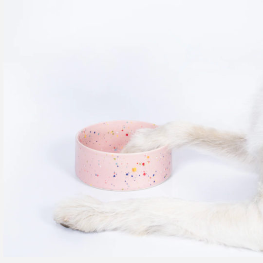 5.5" Speckled Ceramic Pet Bowl by Egg Back Home