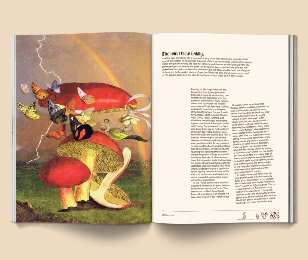 Mushroom People Magazine : Volume 2