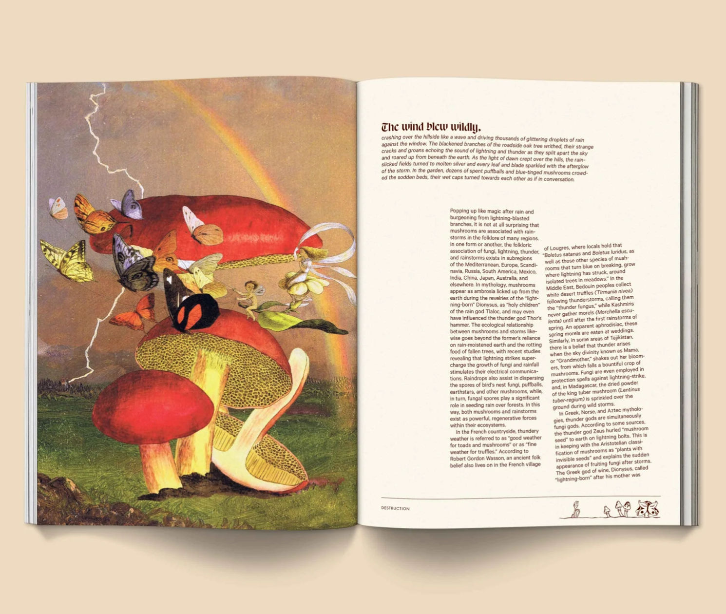 Mushroom People Magazine : Volume 2