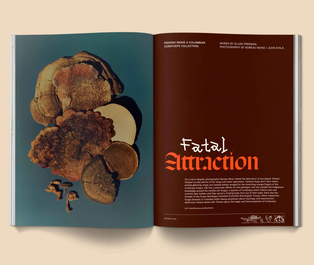 Mushroom People Magazine : Volume 2