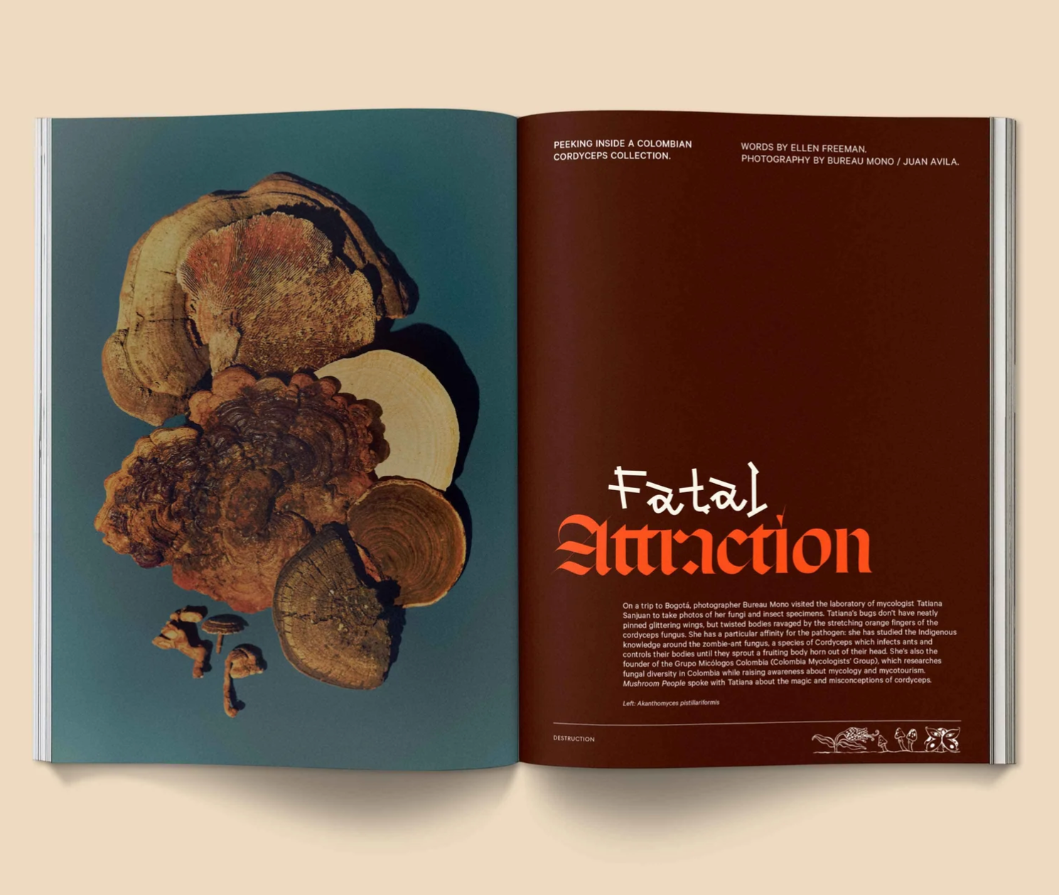 Mushroom People Magazine : Volume 2
