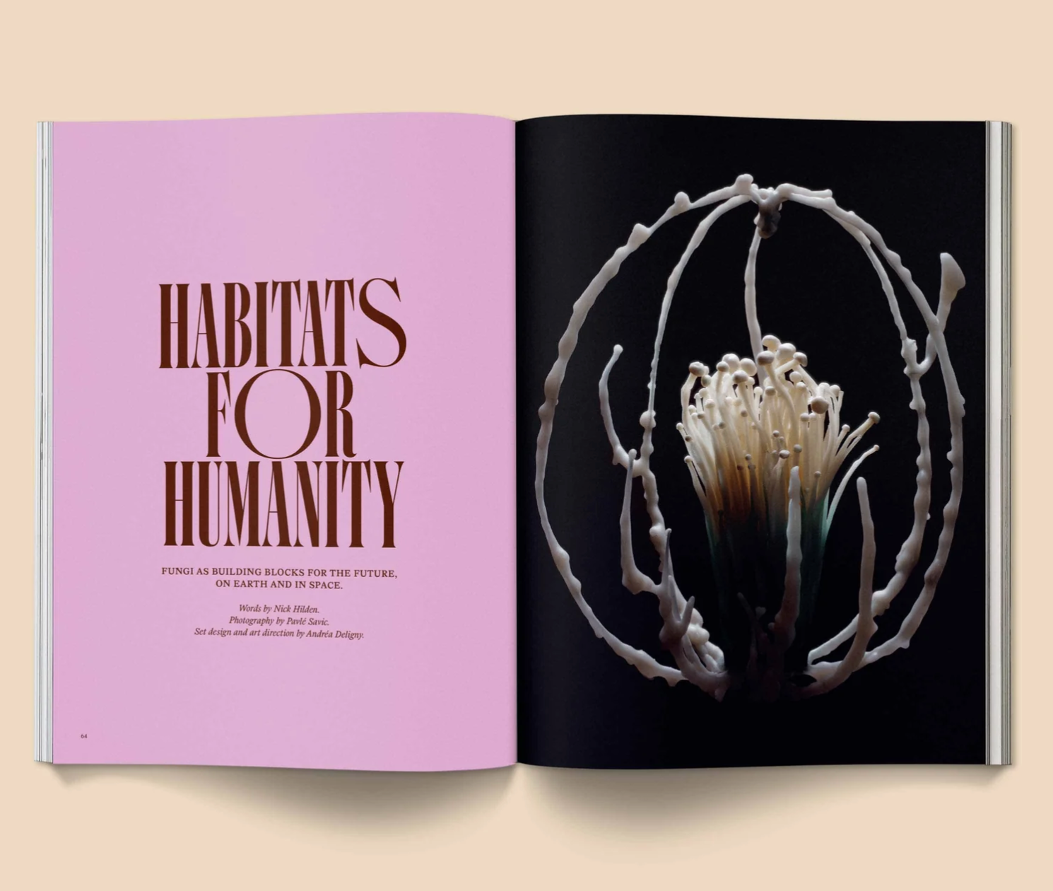 Mushroom People Magazine : Volume 2