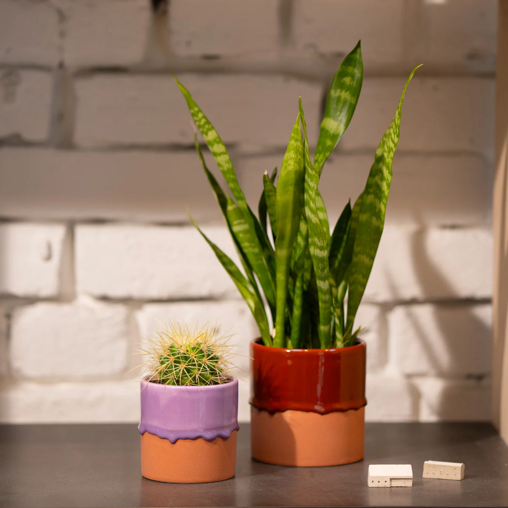 Drip Ceramic Planters by Yod + Co