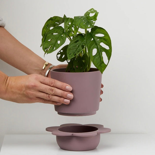 Spring Pot by Capra Design